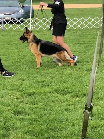 GSDBW